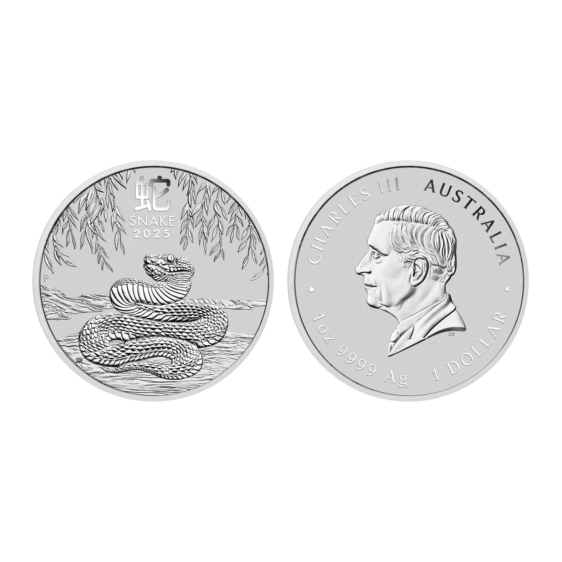 Perth Mint 2025 Lunar Year of The Snake Silver Coins - Australian Lunar Series III | Bulk Bullion