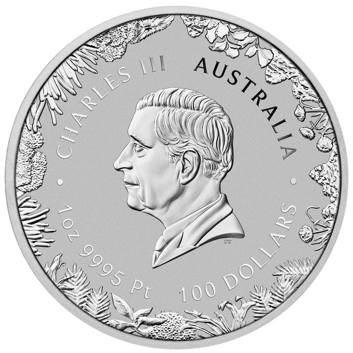 2026 Perth Mint Wonders of Australia The Outback Platinum Coin - 1oz